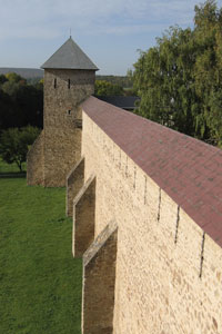 Manastirea Dragomirna - Biserica cimitirului