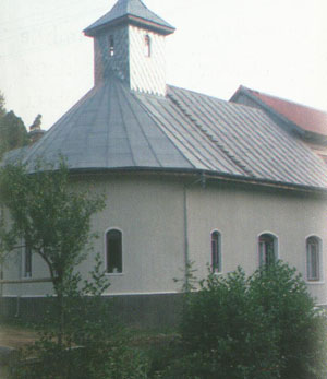 Manastirea Almaj - Putna