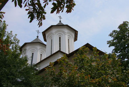 Biserica Coltea