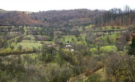 Biserica Intrarea in Biserica a Maicii Domnului - Geoagiu de Sus