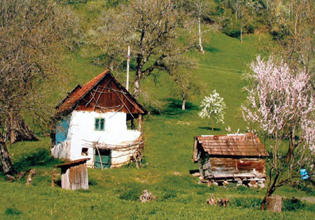Comuna Ribita
