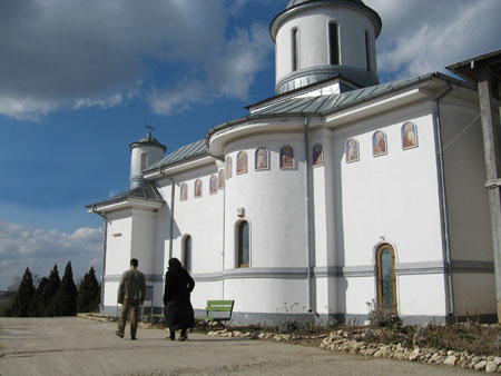 Manastirea Dridu