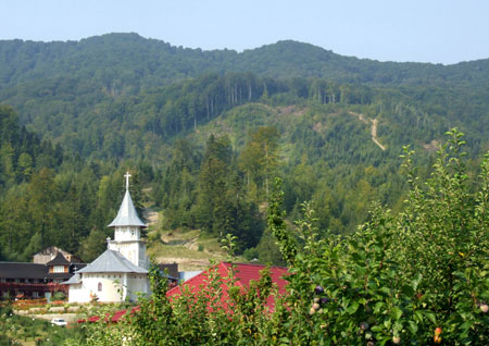 Manastirea Sfantul Sava - Buda, Berzunti