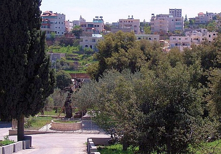 Stejarul lui Avraam din Mamvri - Hebron