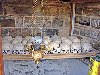 7 zile in Muntele Athos  Poza