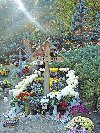 File de Rai din Romania ( 2 - 5 august) Poza