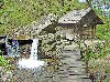 File de Rai din Romania ( 2 - 5 august) Poza