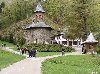 Pelerinaj la Prislop - 250 Ron Poza