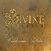Vand rochie mireasa Divine Atelier Brasov 2012 Poza