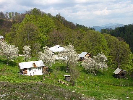 Schitul Patrunsa