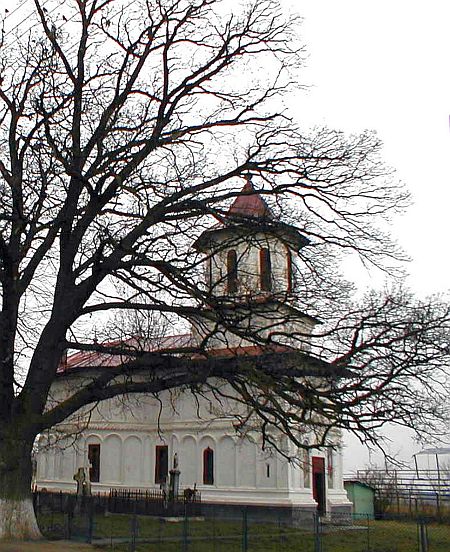 Biserica Adormirea Maicii Domnului - Patroaia Vale