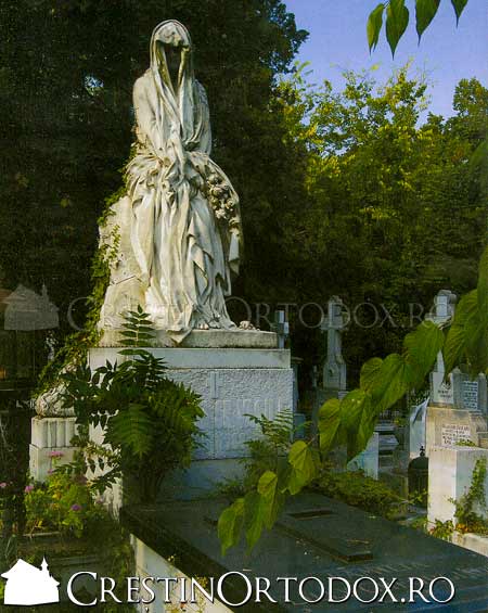 Cimitirul Bellu - Domna