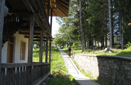 Chilia Parintelui Cleopa Ilie - in partea dreapta, intre pomi