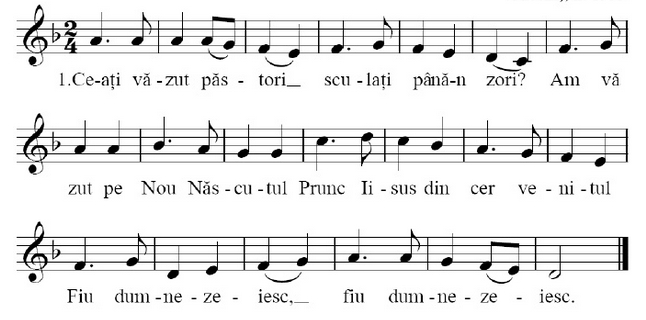 Ce-ati vazut pastori?