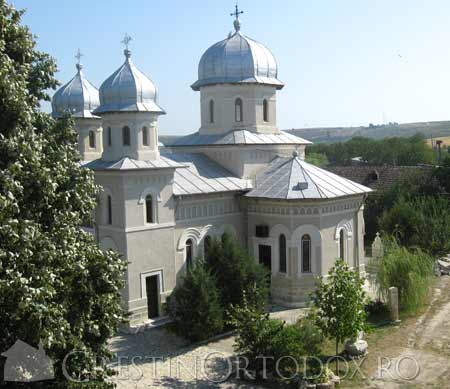 Manastirea Dervent - Icoana Maicii Domnului cu Pruncul