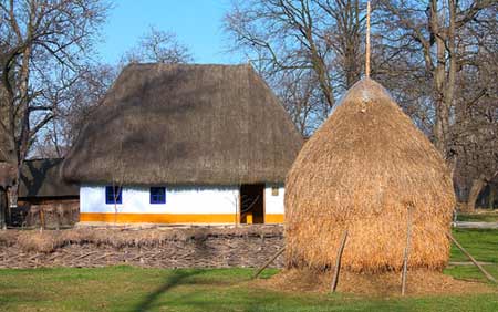 Muzeul Satului din Bucuresti - Dimitrie Gusti