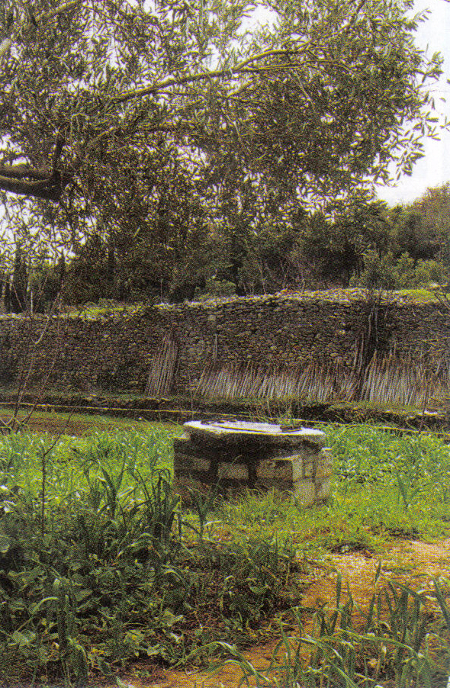 Icoana Sfintilor Trei Ierarhi - Prodromu