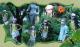 souca florina's Avatar